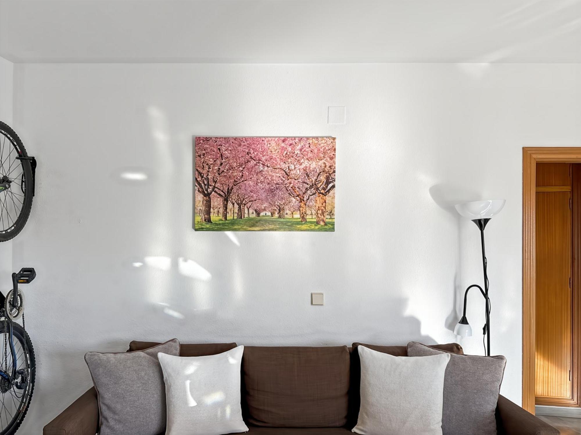 Exclusive Malaga Apartments With Cathedral Views And Auto Check-In Екстериор снимка